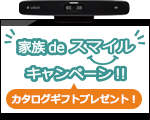 Japan Smile Campaign 2013